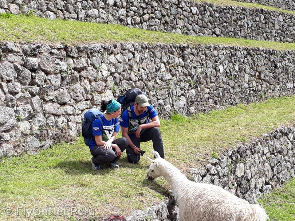 Fotóalbum: Machu Picchu