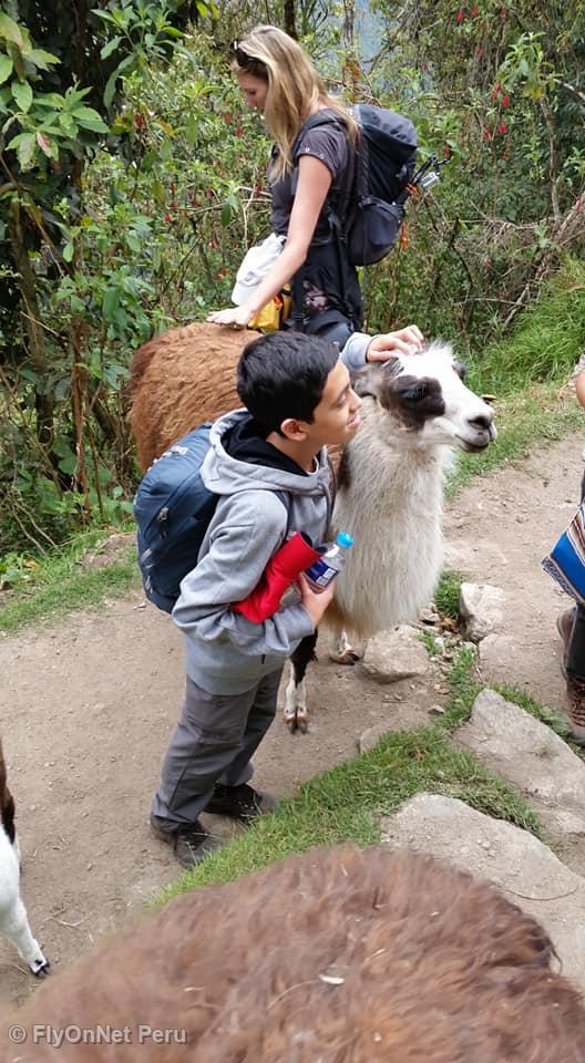 Fotóalbum: Machu Picchu