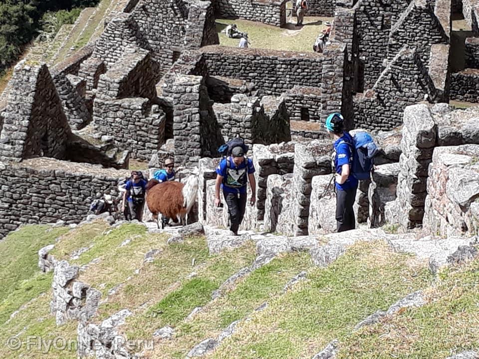Fotóalbum: Machu Picchu