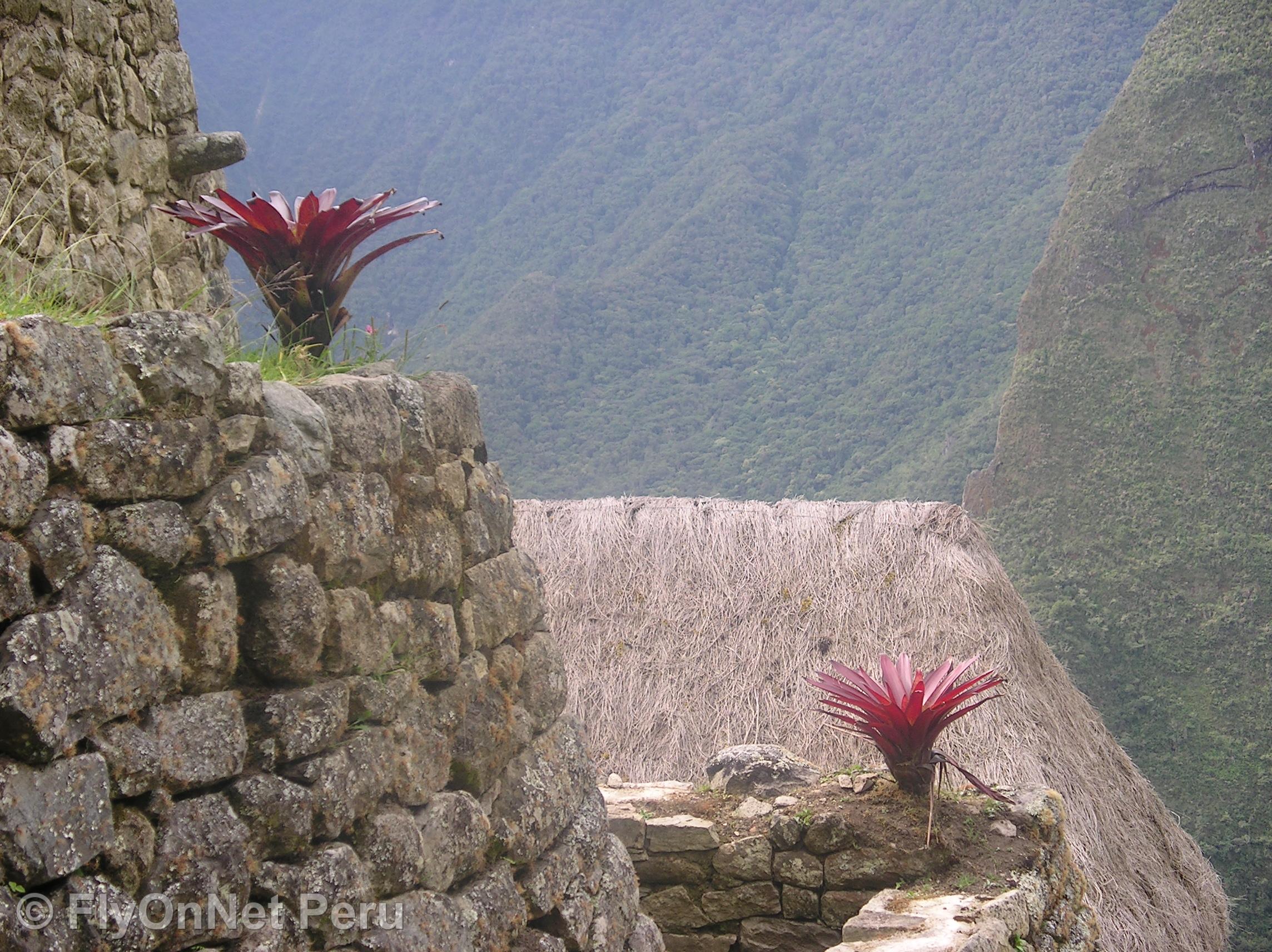 Fotóalbum: Machu Picchu